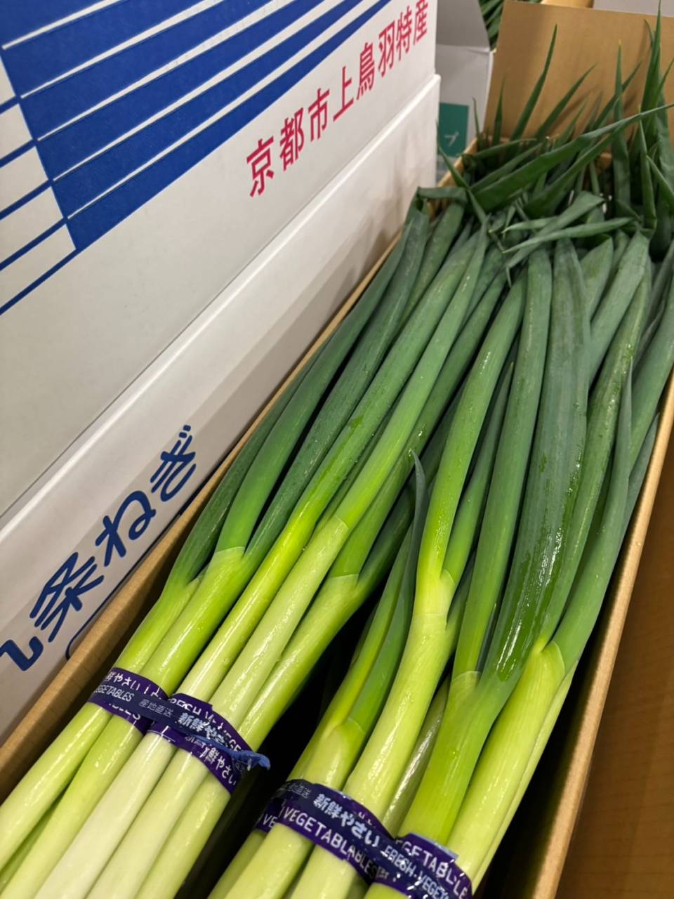 京都産 九条ネギ